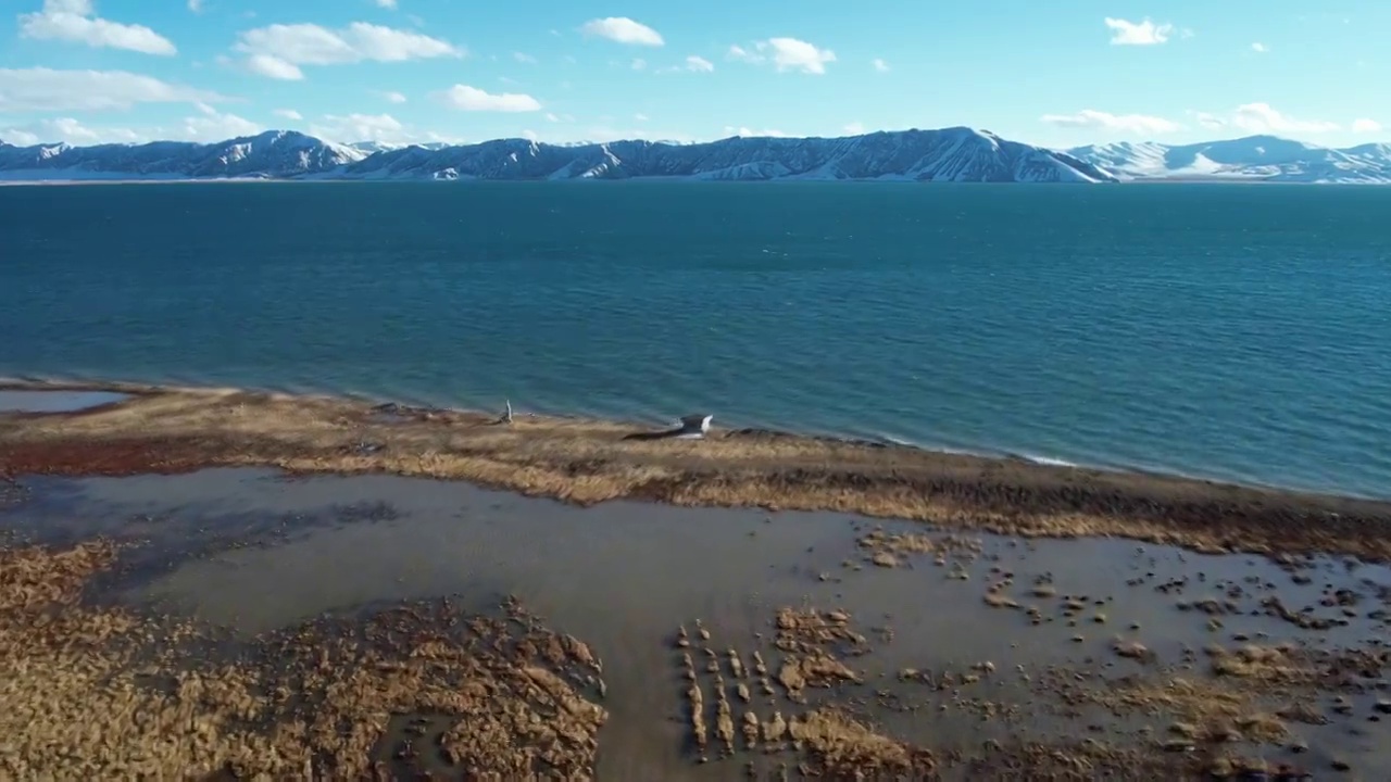 青海三江源国家公园黄河源自然保护区冬格措纳湖湿地自然风光航拍视频下载