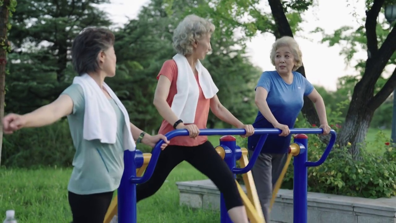 老年闺蜜在公园一起健身视频素材