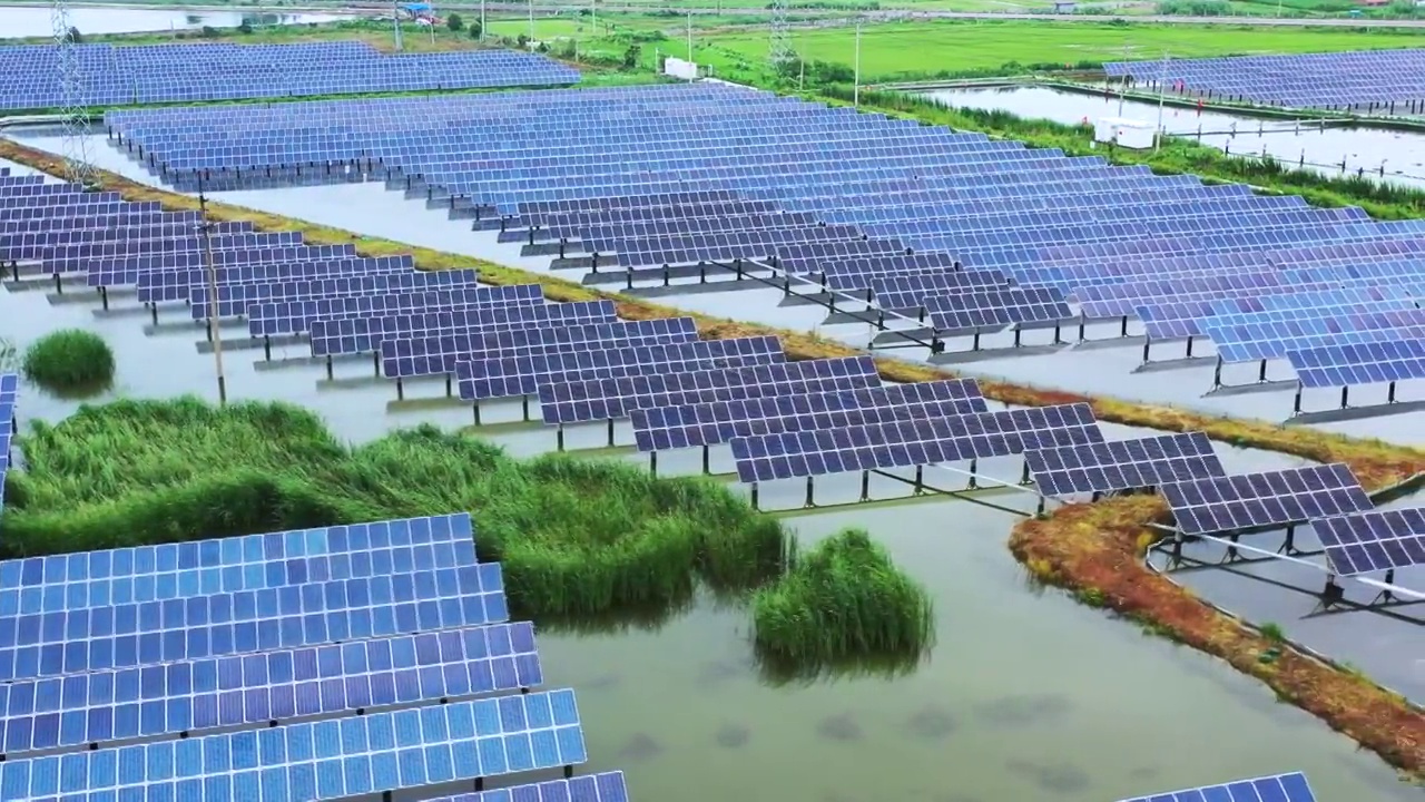 4K航拍沼泽地里的太阳能光伏发电阵列视频素材