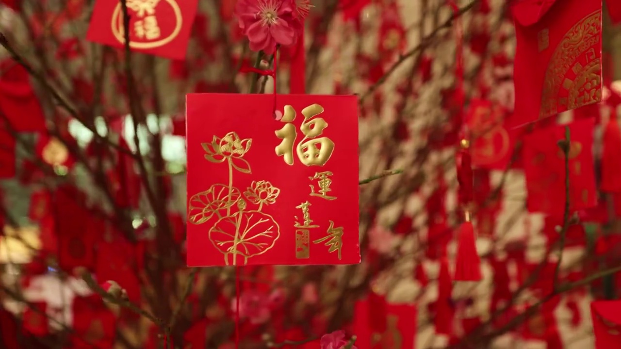 酒店大堂的春节红包装饰树特写视频下载