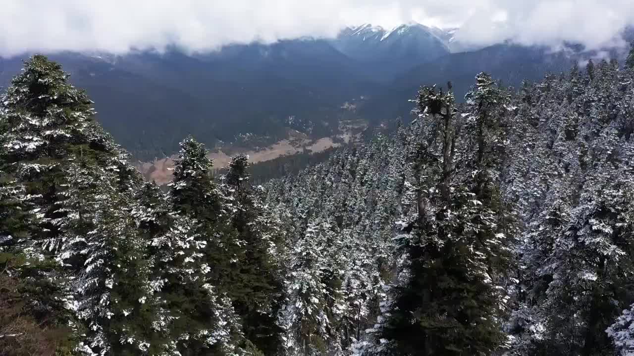 西藏林芝波密川藏线风景视频素材