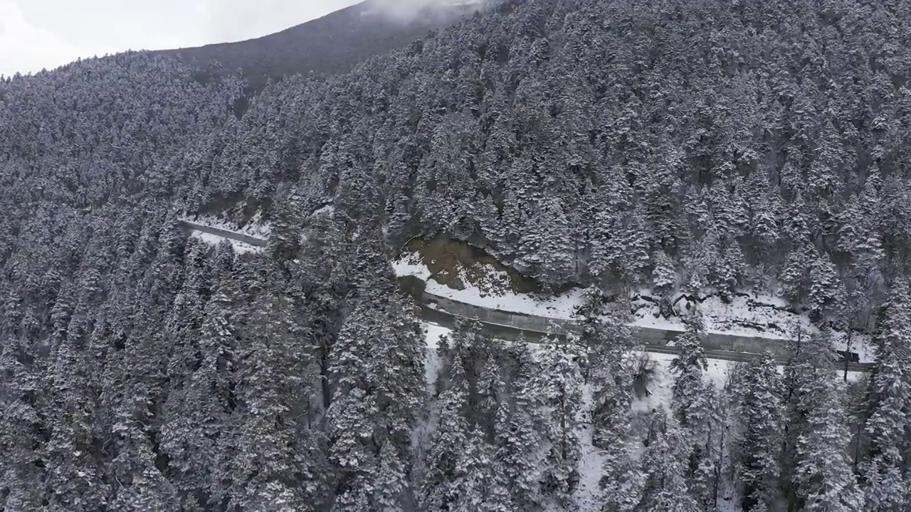 西藏林芝波密川藏线风景视频素材