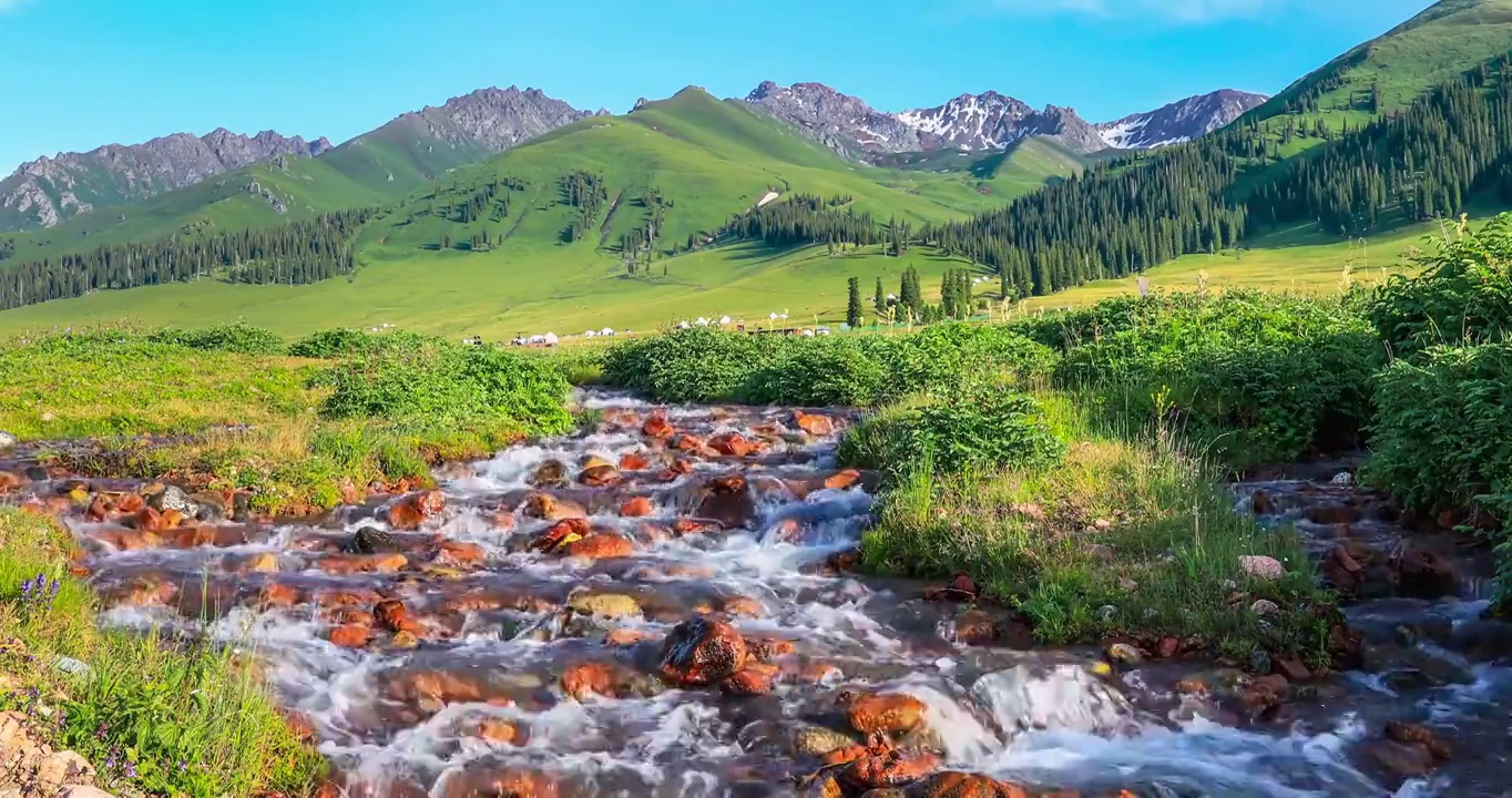 中国新疆的河流和绿色草原自然风光视频素材