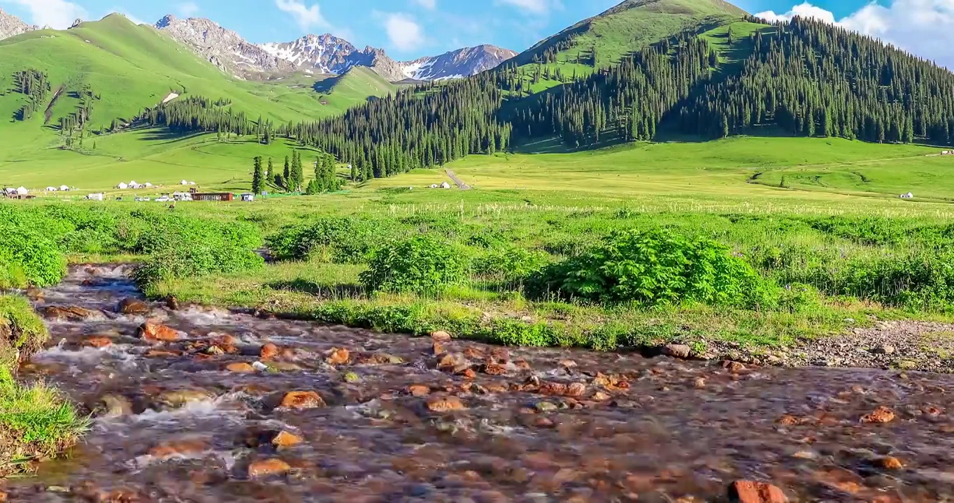 中国新疆的河流和绿色草原自然风光视频下载