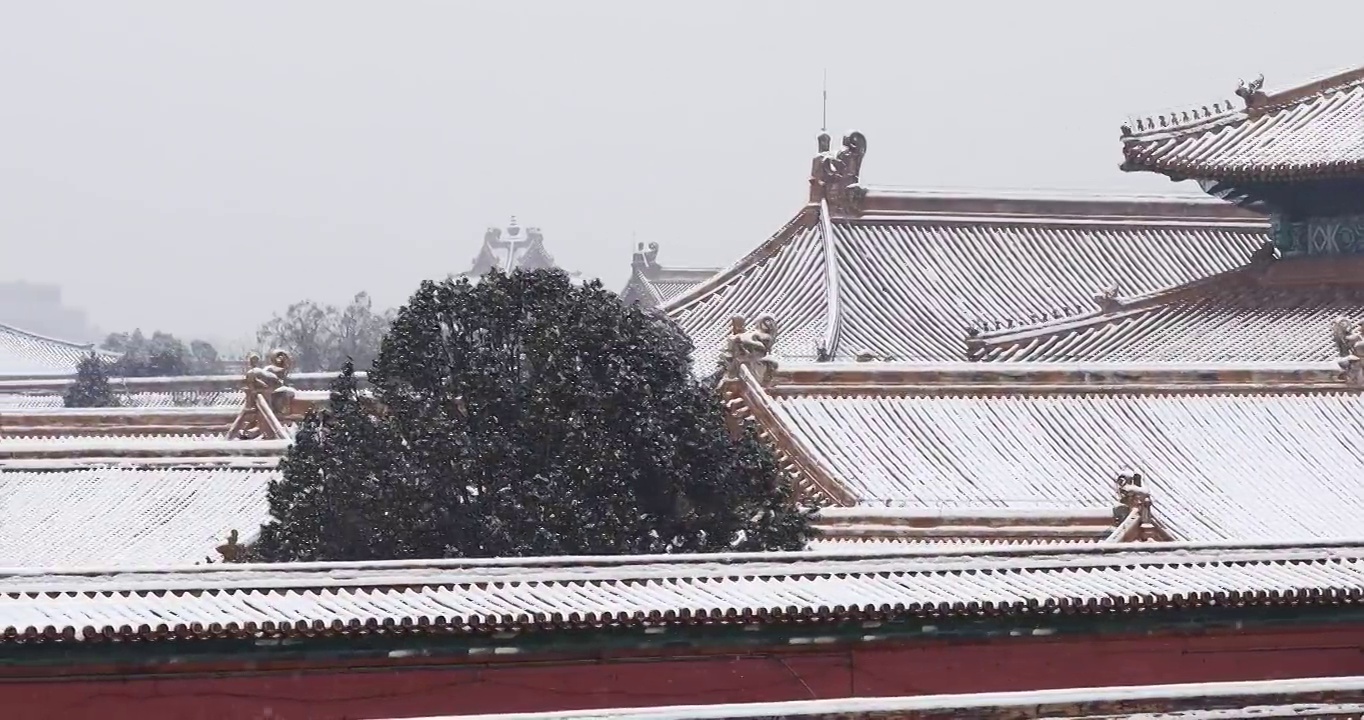北京故宫雪景，冬天，紫禁城，雪，雪花，白色，宫墙，红墙，立冬，冬至，中国风，淡雅，中国文化，红墙视频素材