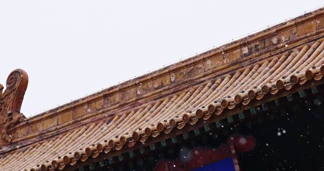 北京故宫雪景，保和殿，牌匾，匾额，屋檐，雪，雪花，雪景，节气，建筑外部，建筑结构，中国文化，中国元素视频素材