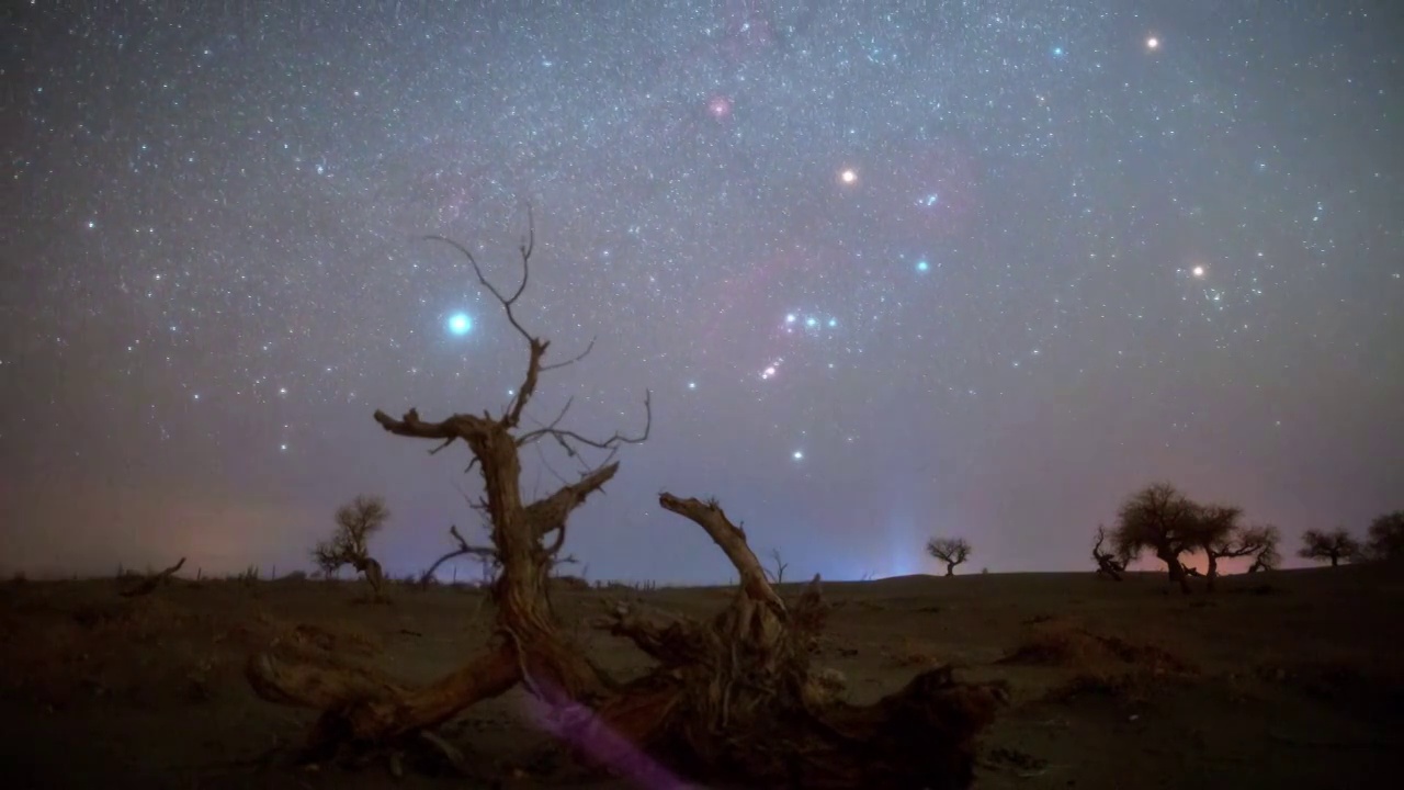 内蒙古，额济纳，怪树林景区银河星空视频素材