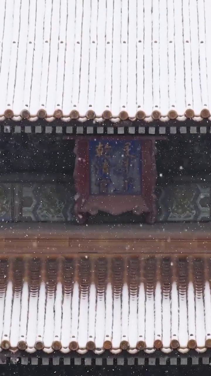 北京故宫的乾清宫雪景，屋檐，牌匾，匾额，文字，书法，屋顶，雪景，雪，中国文化，中国元素，局部，特写视频素材
