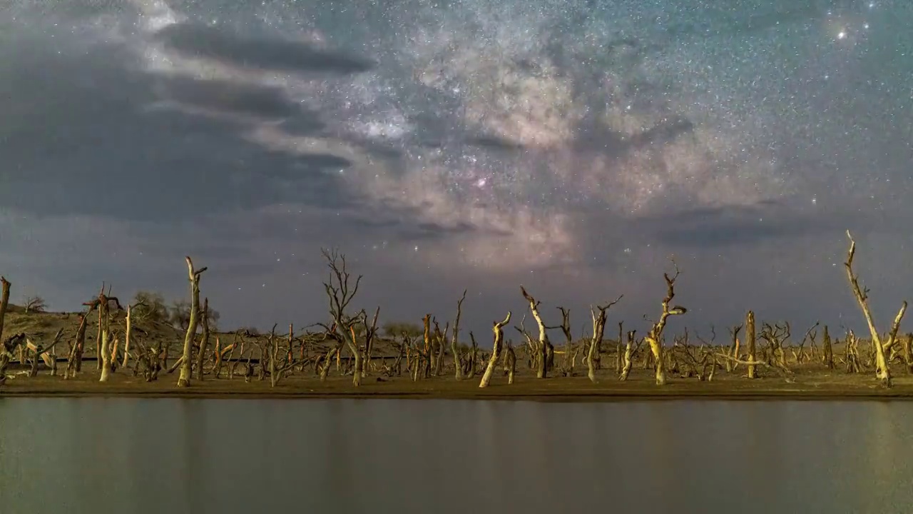 内蒙古，额济纳，怪树林景区，银河星空视频素材