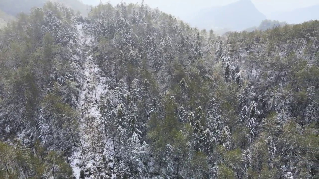 4K航拍雪山，雪景，大山，森林公园，云景，平流雾视频下载
