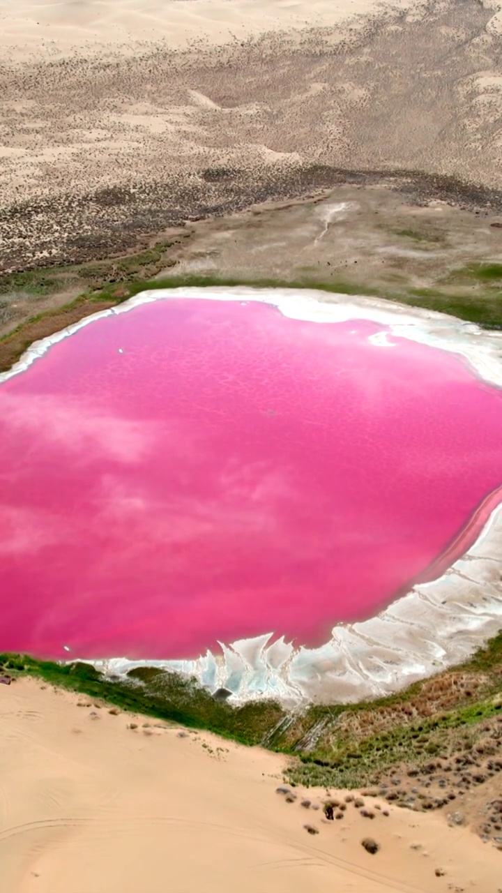 中国西部内蒙古阿拉善巴丹吉林沙漠深处粉红色湖红海子视频素材