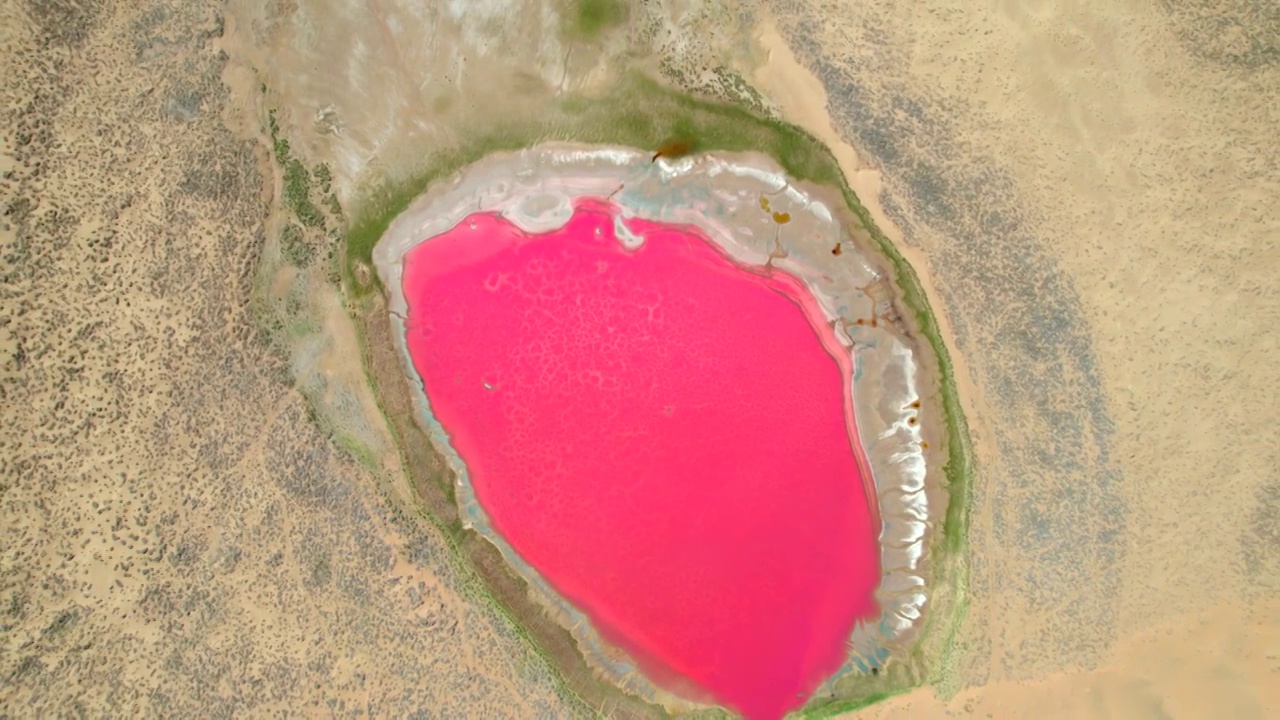 中国西部内蒙古阿拉善巴丹吉林沙漠深处粉红色湖红海子视频素材