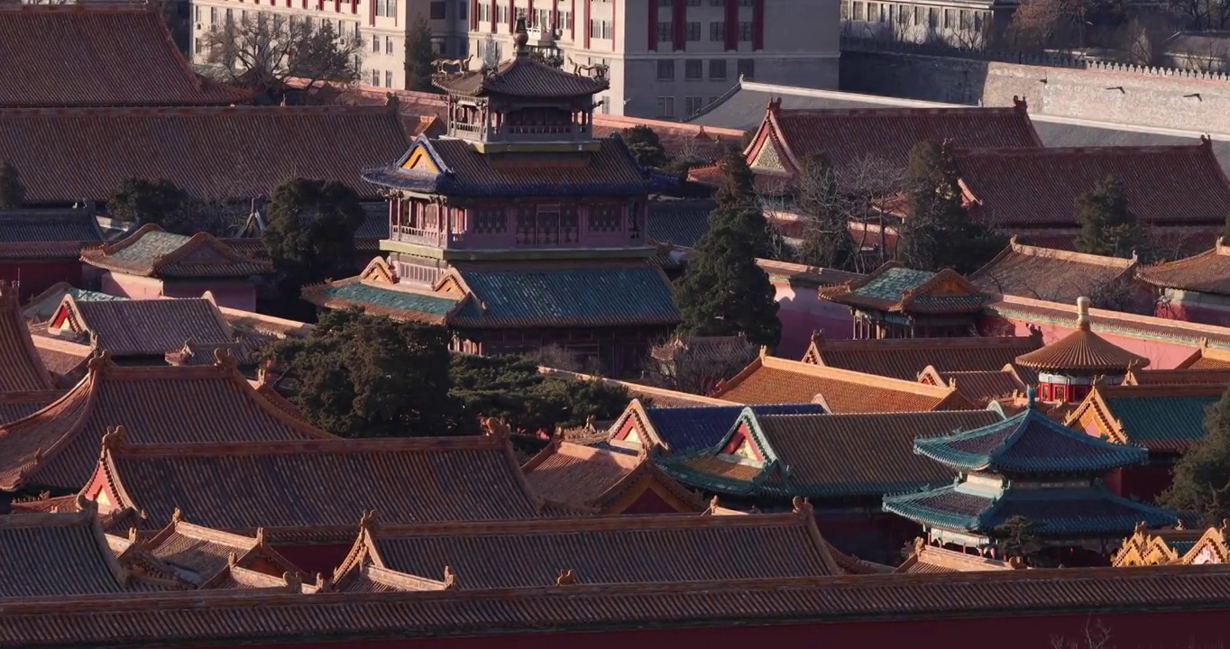 故宫的中式建筑群视频素材