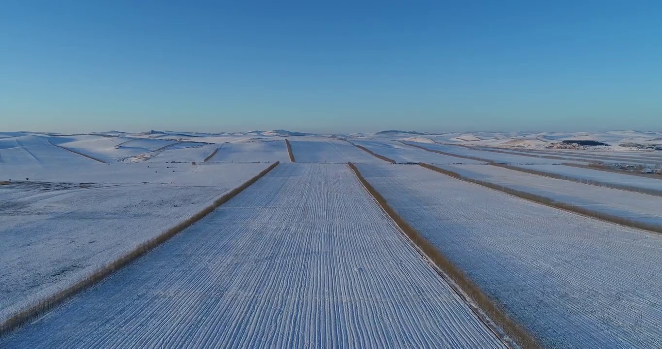 航拍呼伦贝尔垦区冬季雪原风光视频下载