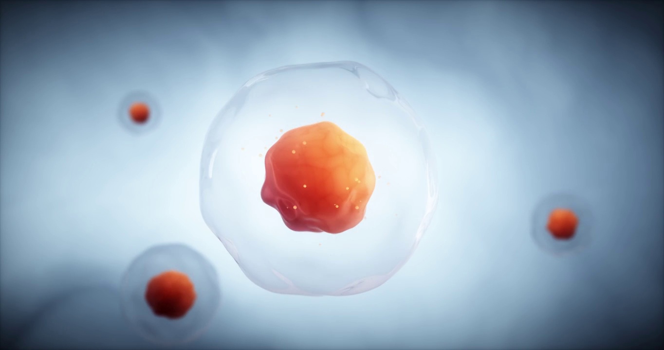 3D渲染的微观细胞视频下载