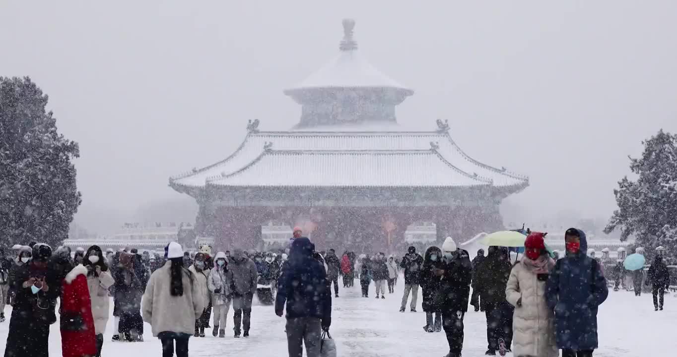 北京天坛下雪时的人群，许多人，游客，雪景，冬天，寒冷，天坛，参观，大雪，雪，雪花，游览，人群视频下载