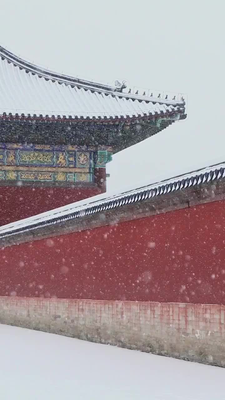 下雪天古建筑的红墙，北京天坛公园。视频素材