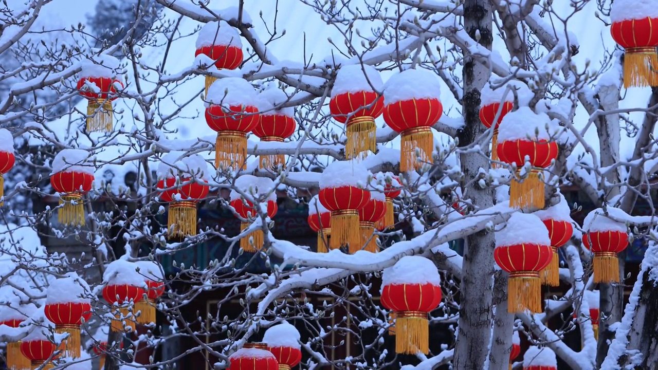 节日里白雪皑皑的大红灯笼视频素材