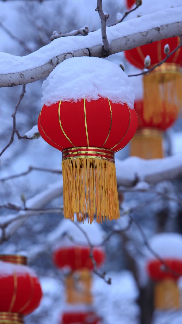 节日里白雪皑皑的大红灯笼视频素材