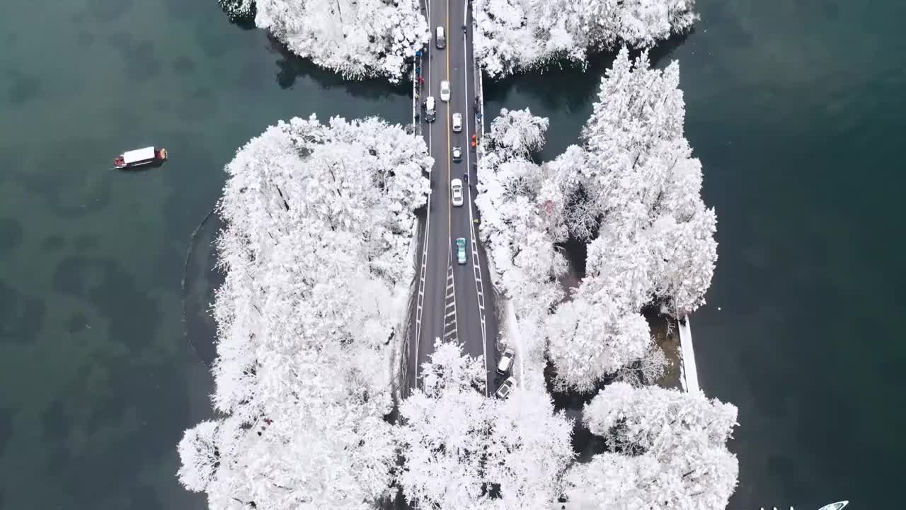 航拍杭州杨公堤黛色参天雪景视频下载