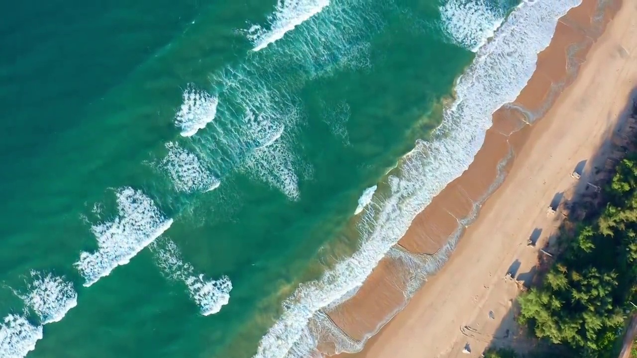 航拍清晨中国海南万宁东澳镇神州半岛海浪椰林与沙滩视频素材