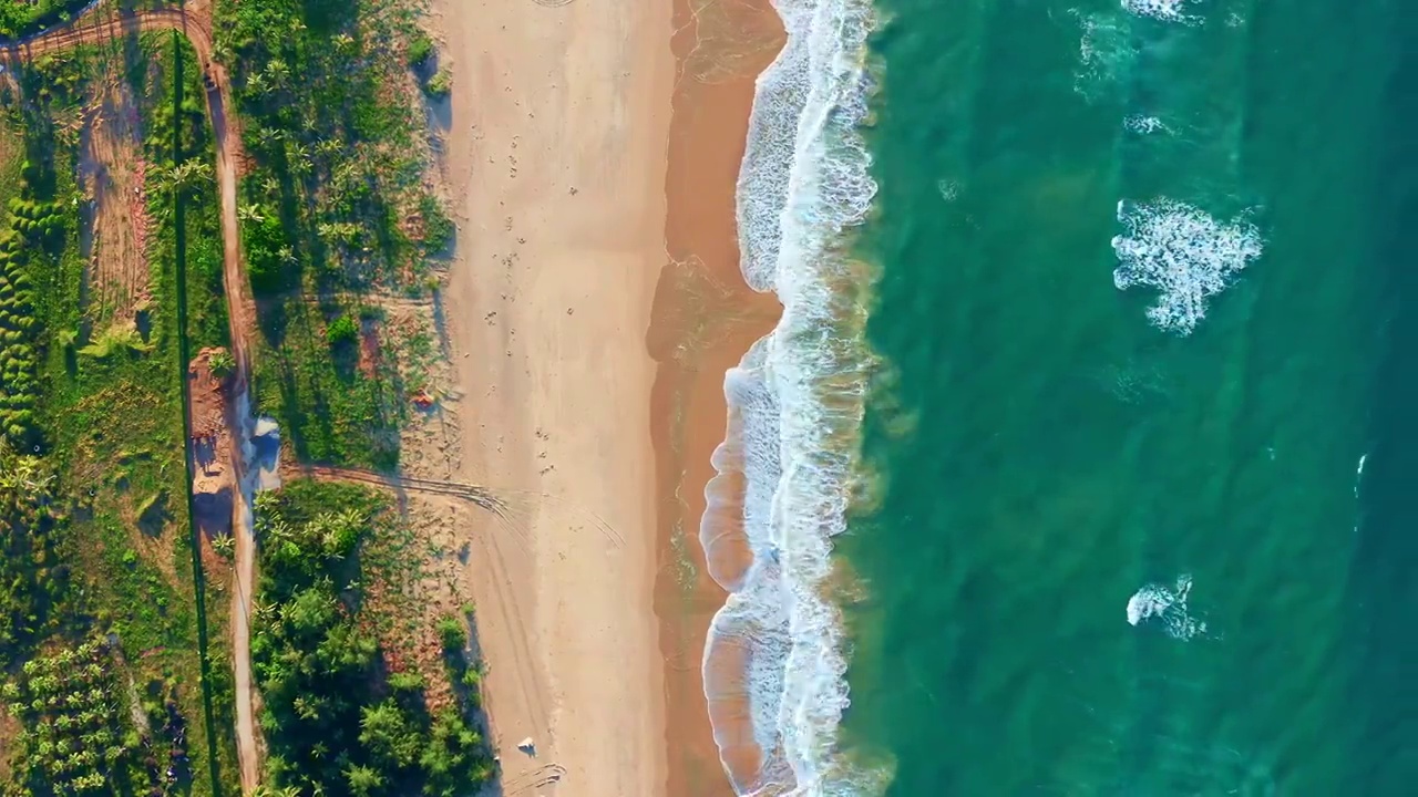 航拍清晨中国海南万宁东澳镇神州半岛海浪椰林与沙滩视频素材