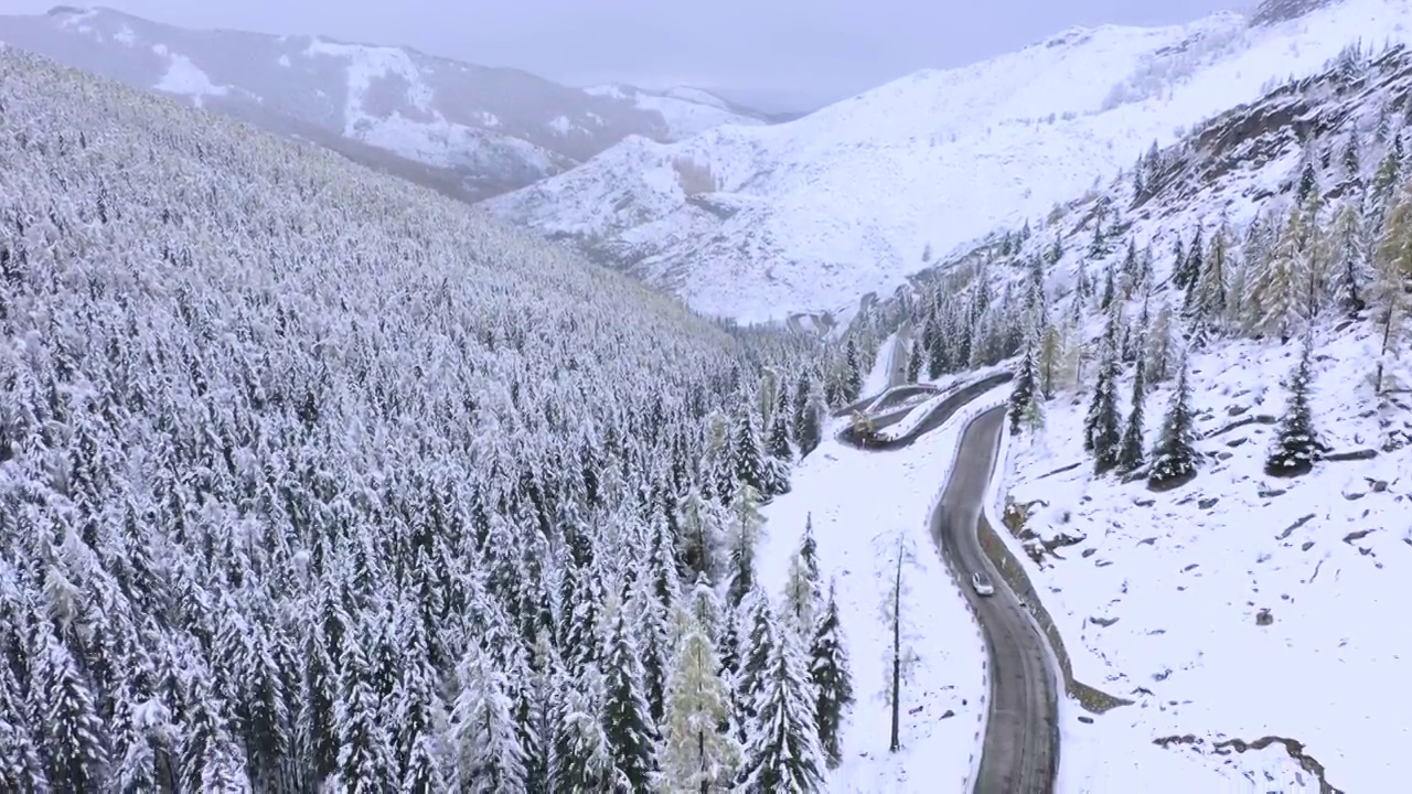 自驾穿越北疆的林海雪原视频素材