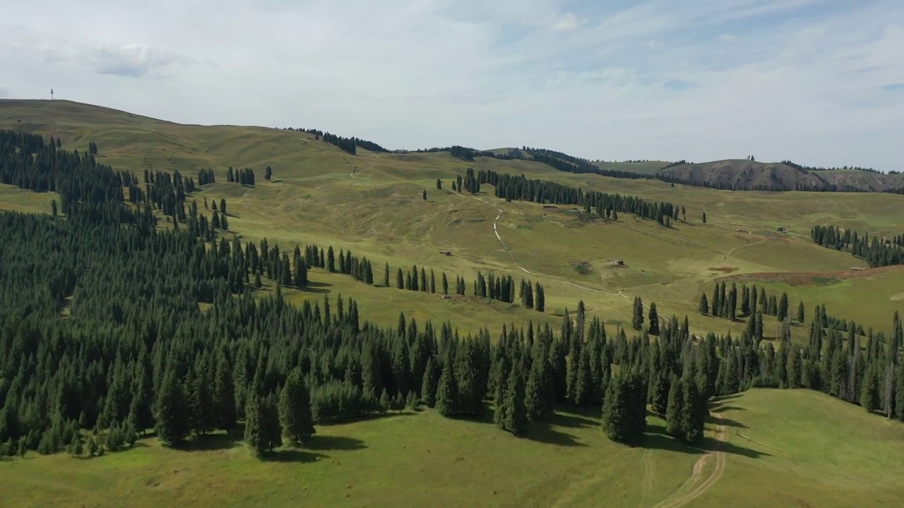 新疆江布拉克田园森林高山草甸自然景观风光航拍视频素材