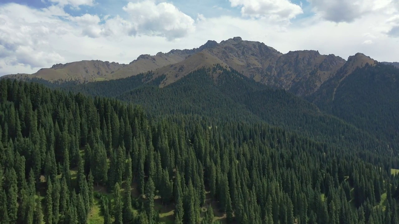 新疆江布拉克田园森林高山草甸自然景观风光航拍视频素材