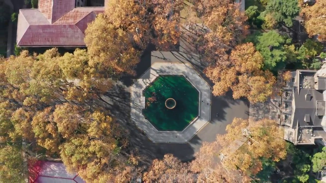 航拍秋天的东南大学视频素材