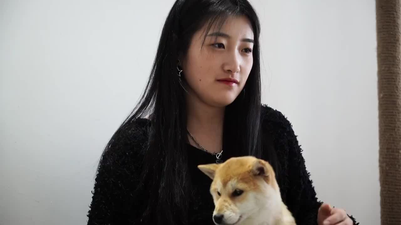 一个女孩和宠物狗视频素材