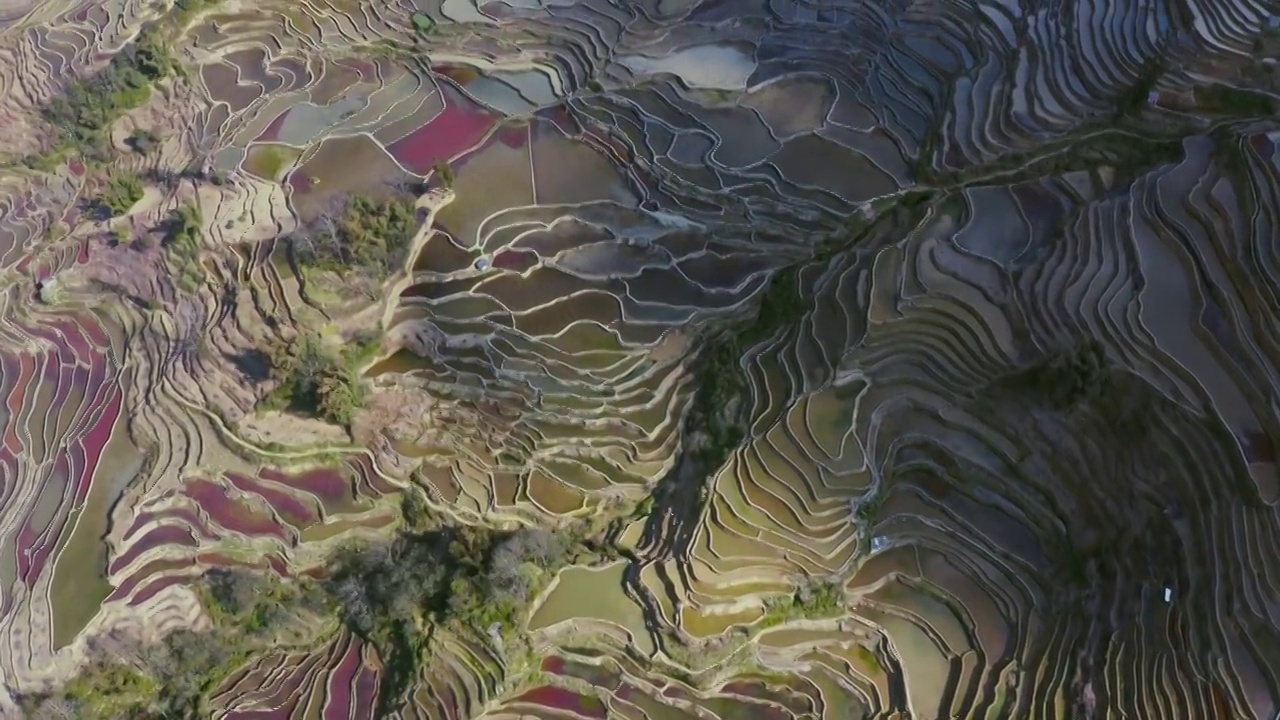 梯田的航拍视角，云南红河哈尼梯田的风光视频素材