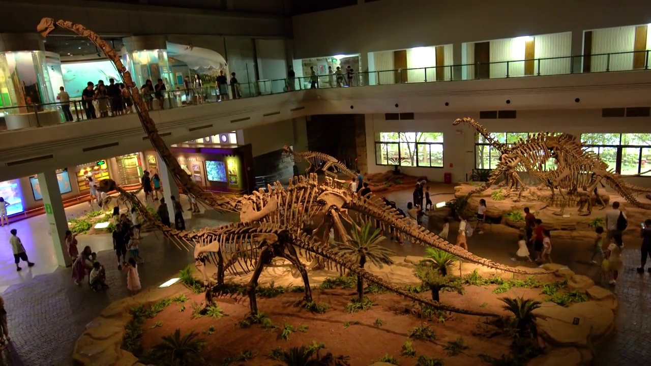 四川自贡恐龙博物馆恐龙化石视频下载