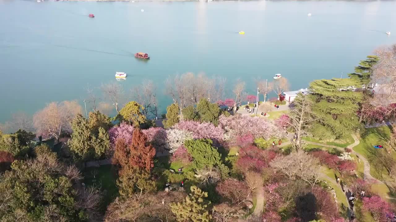 春季南京玄武湖公园，梅花盛开的梅花隧道和梁洲码头视频下载