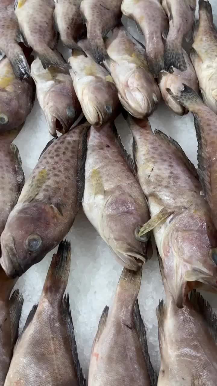 超市货架上展示的鱼类视频素材