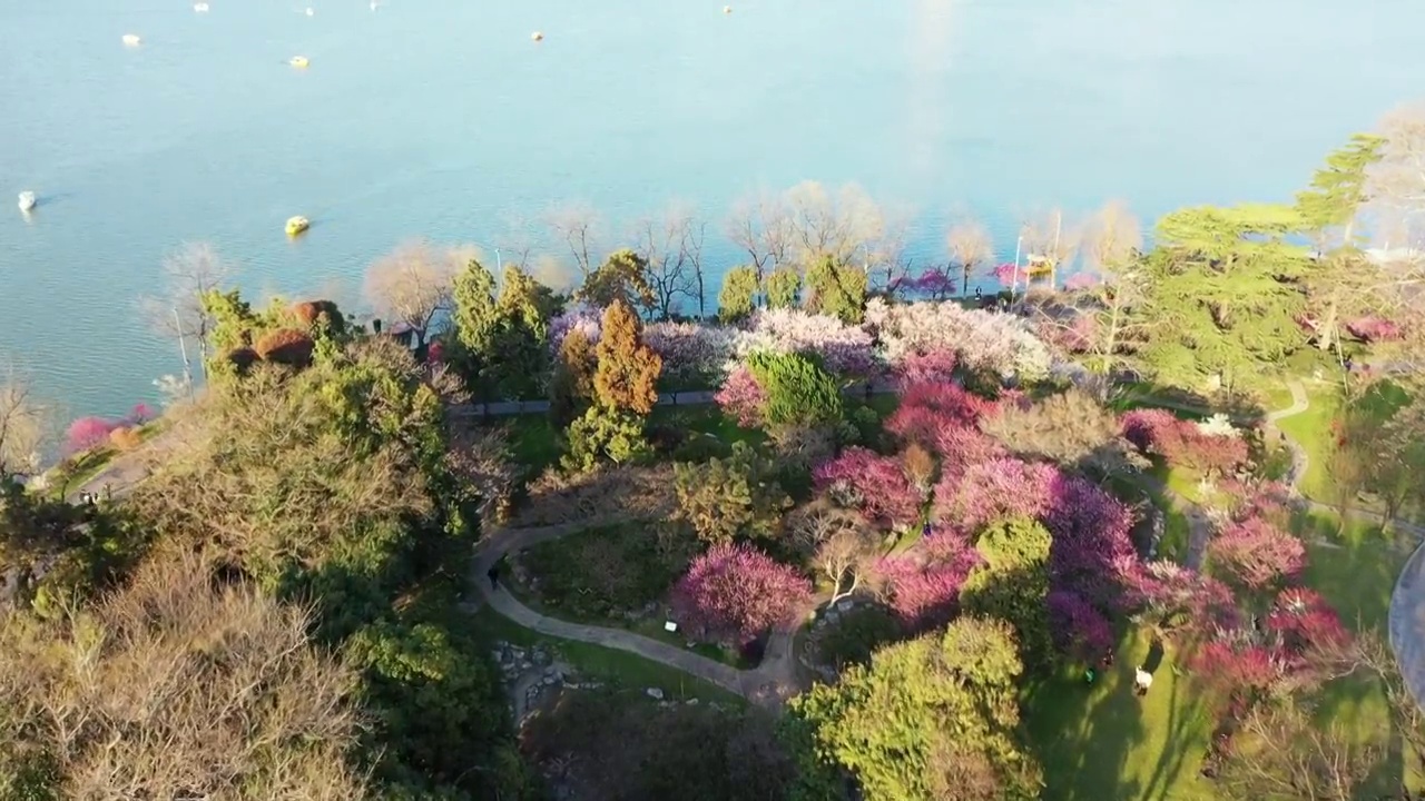 春季南京玄武湖公园，梅花盛开的梅花隧道和梁洲码头视频下载