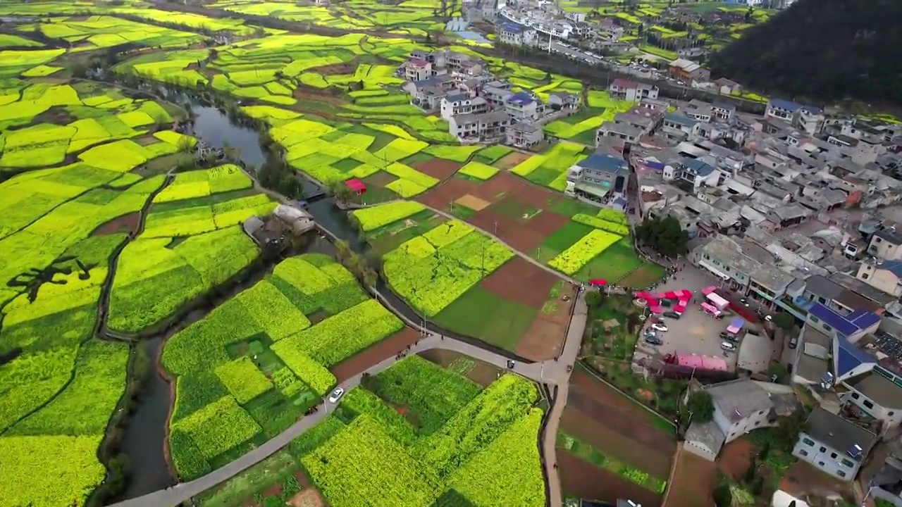中国贵州春天油菜花开美如画视频素材