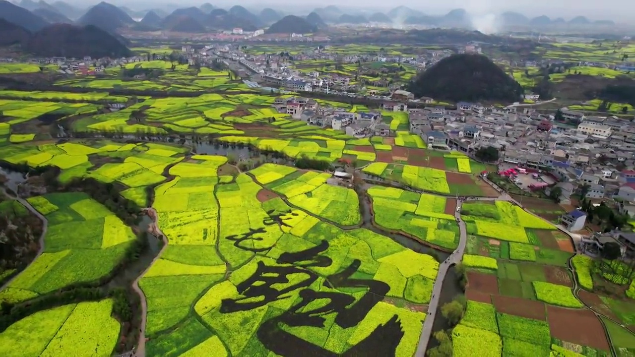 中国贵州省安顺市西秀区油菜花开美如画视频素材