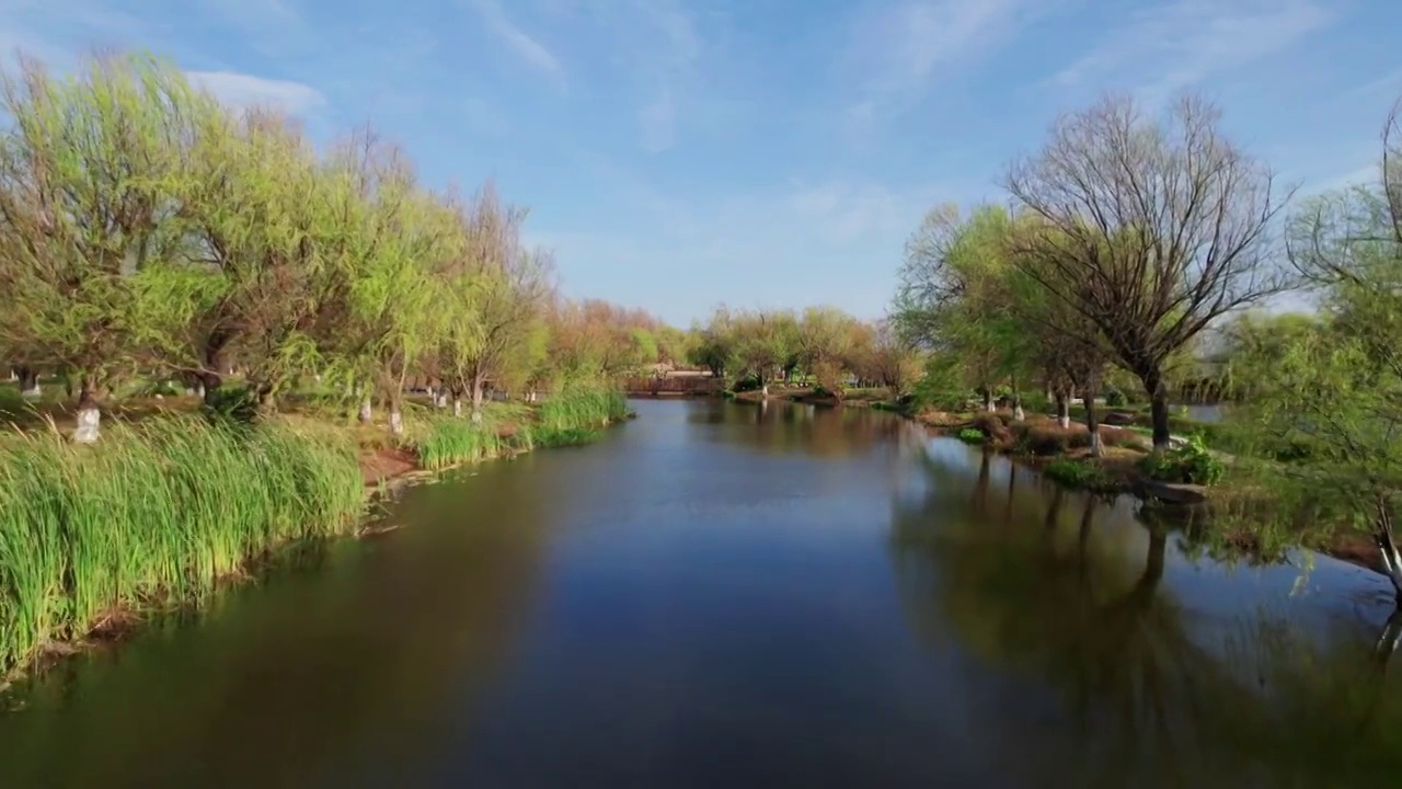 昆明斗南滇池湿地公园航拍视频素材
