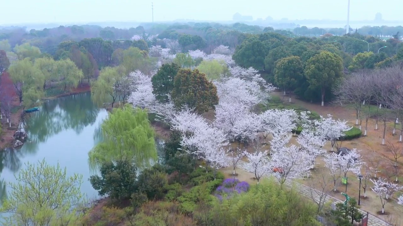 苏州园区阳澄湖半岛度假区的春天视频素材