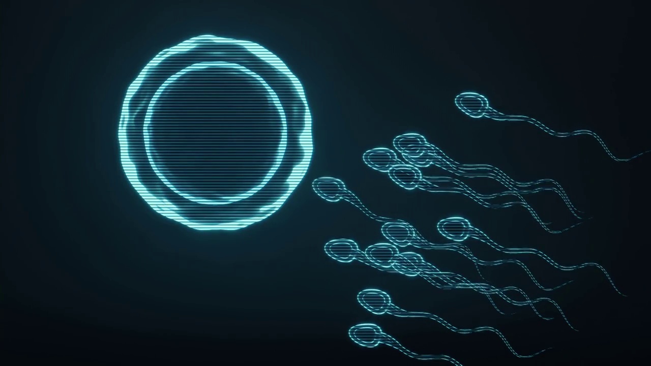 全息影像精子与卵细胞3D渲染视频下载