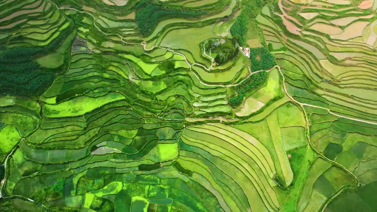 航拍贵州山区绿色梯田航拍视频素材