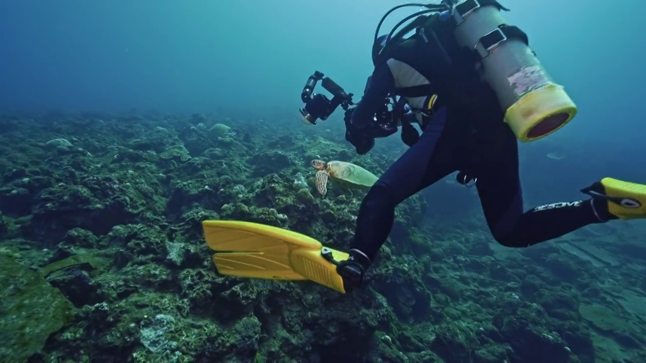 水下摄影师拍摄记录海洋水下世界视频下载