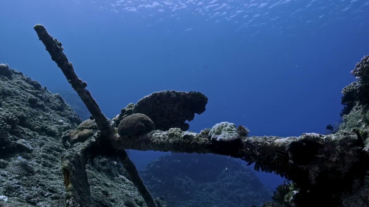 水下摄影海底遗弃的船锚视频素材