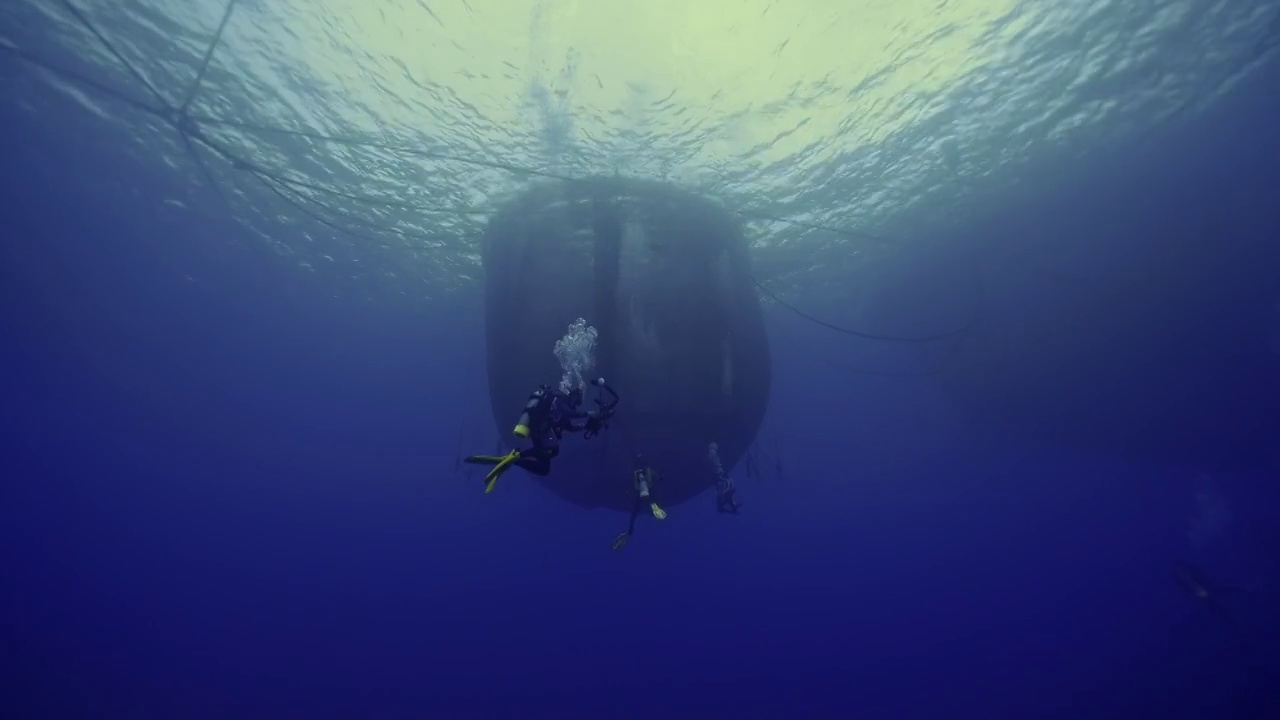 水下摄影海洋经济网箱养殖养鱼业视频素材