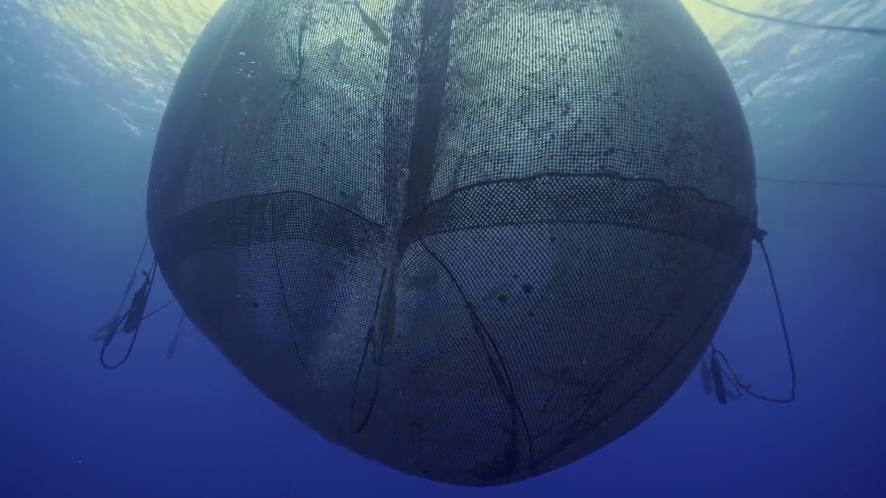 水下摄影海洋经济网箱养殖养鱼业视频下载
