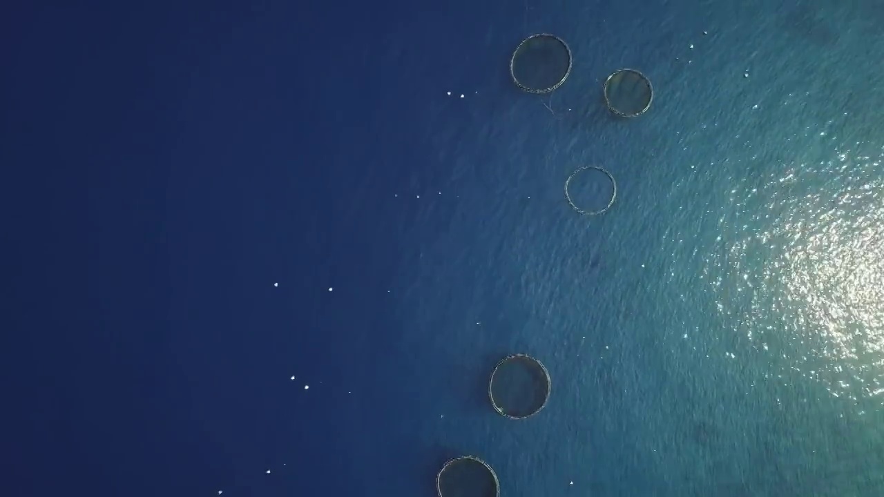 航拍自然海洋网箱养殖场视频素材