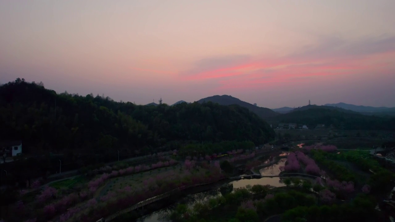湘潭七星村，夕阳，樱花视频素材