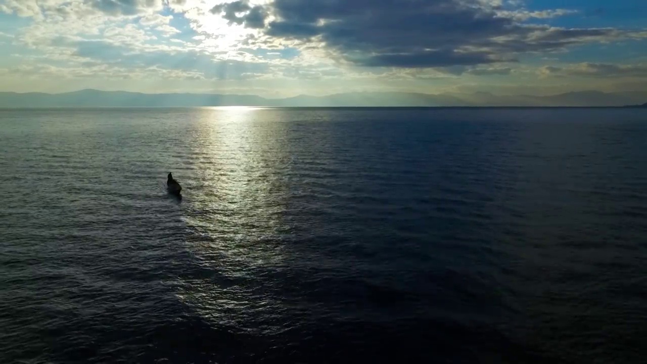 早晨日出时分 云南大理洱海边 一只小船在湖面划行视频素材