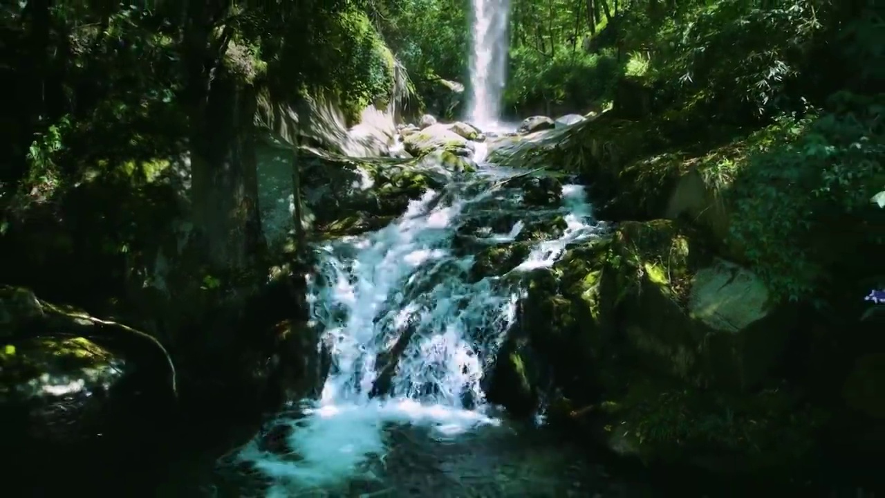 航拍绿色原始森林丛林瀑布流水清澈溪流视频下载